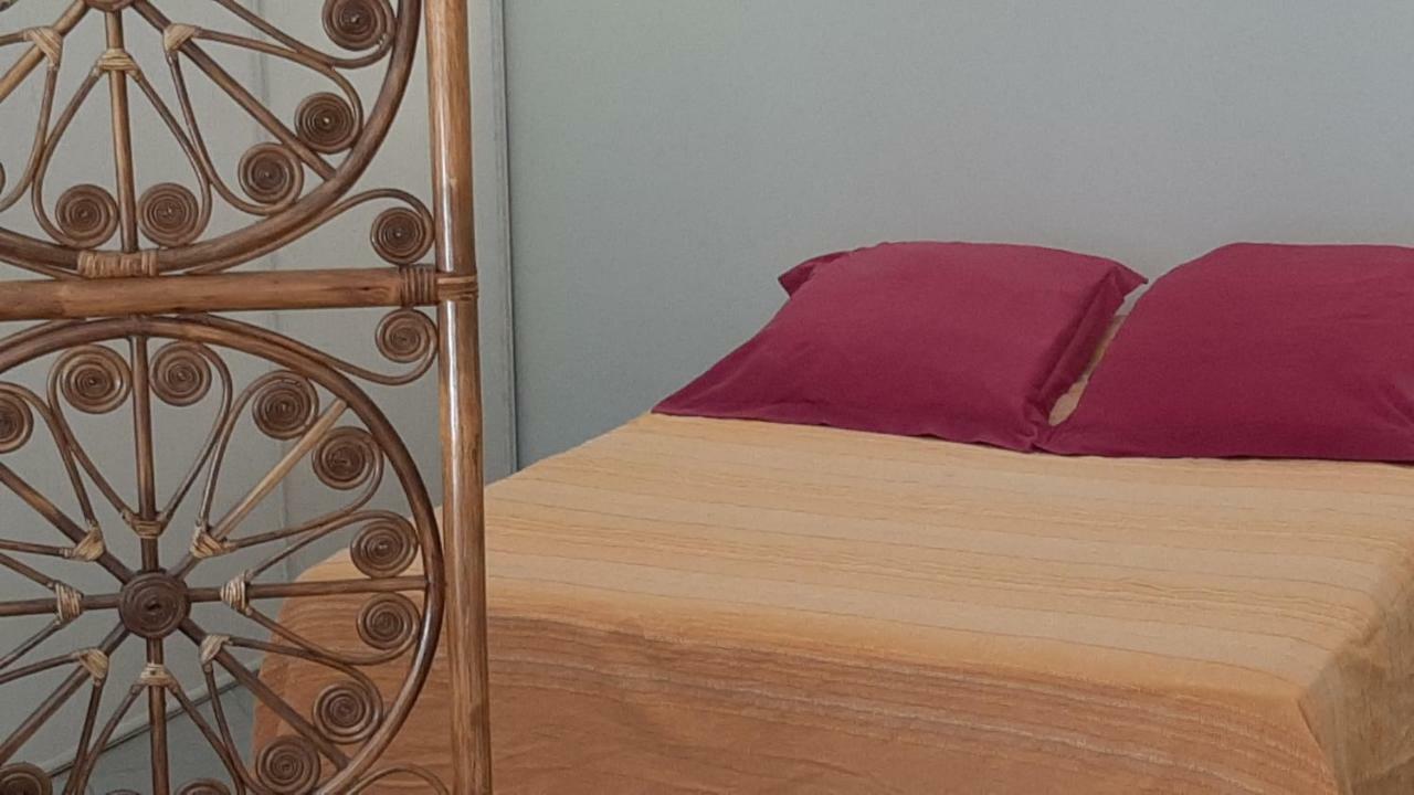 Grand Studio-Loft-Grand Parking-Climatise-Proche Centre Аячо Екстериор снимка